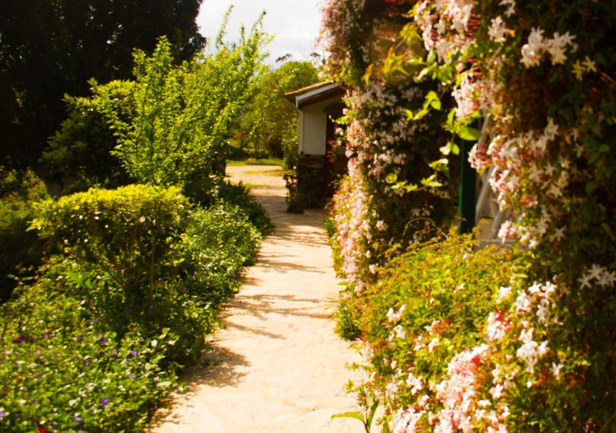 Paradise In Portugal Santa Clara-a-Velha Exterior foto